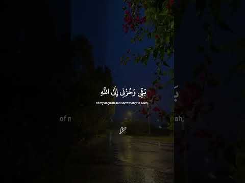 قال انما اشكوا بثي وحزني الى الله القارئ اسلام صبحي