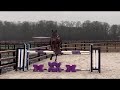 Cheval  vendre  magnifique cheval hongre idal cso dressage loisir tous  equirodicom