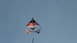 Information Russell Hall Kite - homemade bin / trash bag kite News