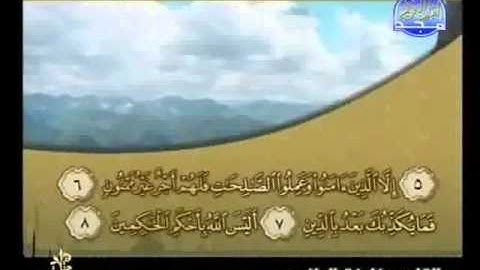 سورة التين كاملة الشيخ القارئ خليفة الطنيجي