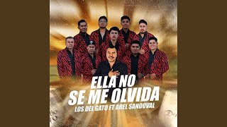 Video thumbnail of "Los Del Gato Oficial - Ella no se olvida (feat. Abel Sandoval)"