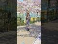 Budapest Walking Tour Mamut Cherry Blossoms – Unexpected #budapest #travel #virtualtravel #spring