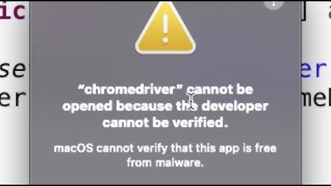 How to Fix ChromeDriver Cannot Be Opened Because of Unknown Developer Problem with Selenium Java