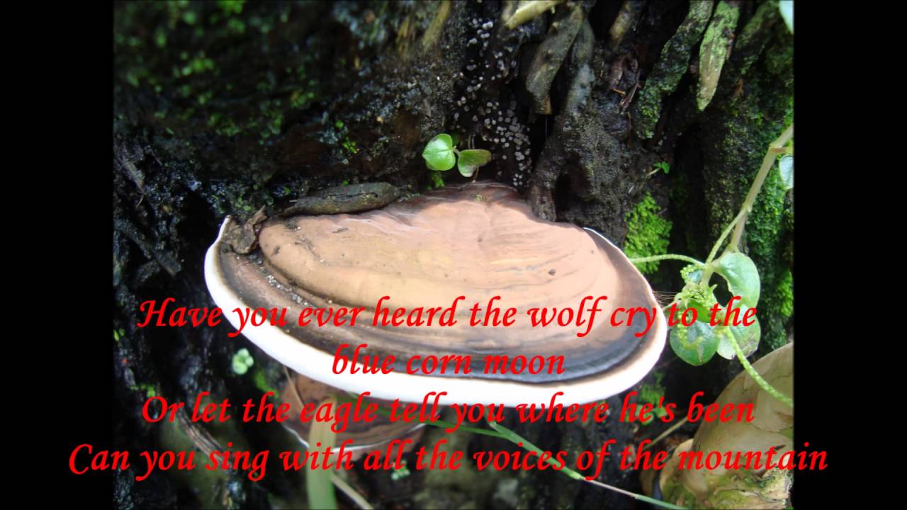Colors of the Wind (Vanessa Williams) Lyrics - YouTube