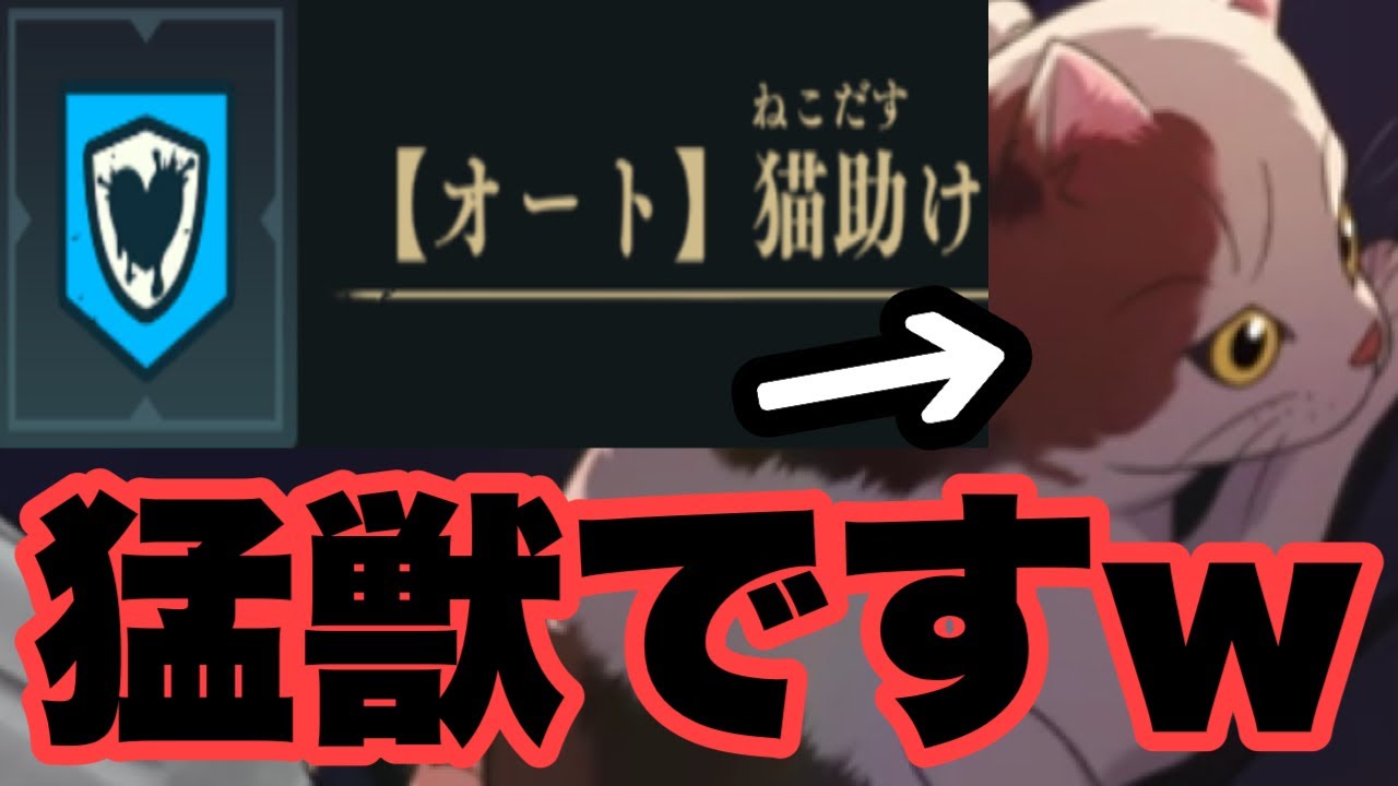 誰も使ってない猫を完凸にして連れて行ったら強過ぎてライオンでしたｗｗｗ　ファンパレ