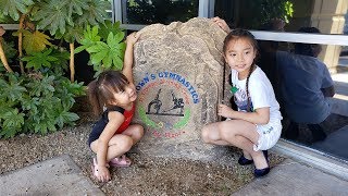 Tiny Tot Gymnastics Class at Brown's Gymnastics Las Vegas