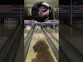 Dog gone it!