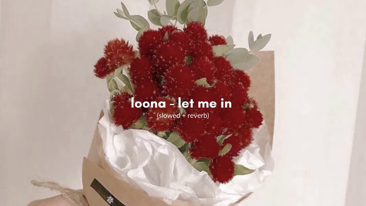 loona (hasuel) - let me in (slowed + reverb)