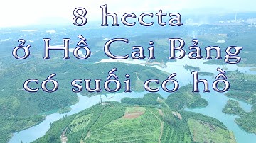 Hồ Cai Bảng Bảo Lâm 8 hecta Có Suối Có Hồ | datdepBaoLoc.com