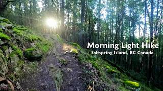 A Virtual Forest Hike in the Morning Light - Peter Arnell Park Salt Spring Island BC