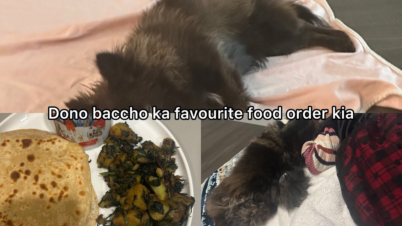 Life in Canada with kid & pet. Aaj Tiny ne didi ko daycare se pick kia.