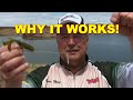 The best free rig tips how to  how to  bass fishing