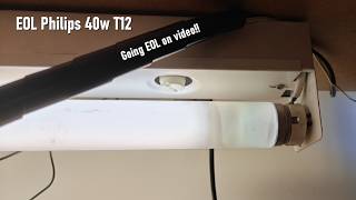 EOL fluorescent tube Philips TL 40W/32 Deluxe