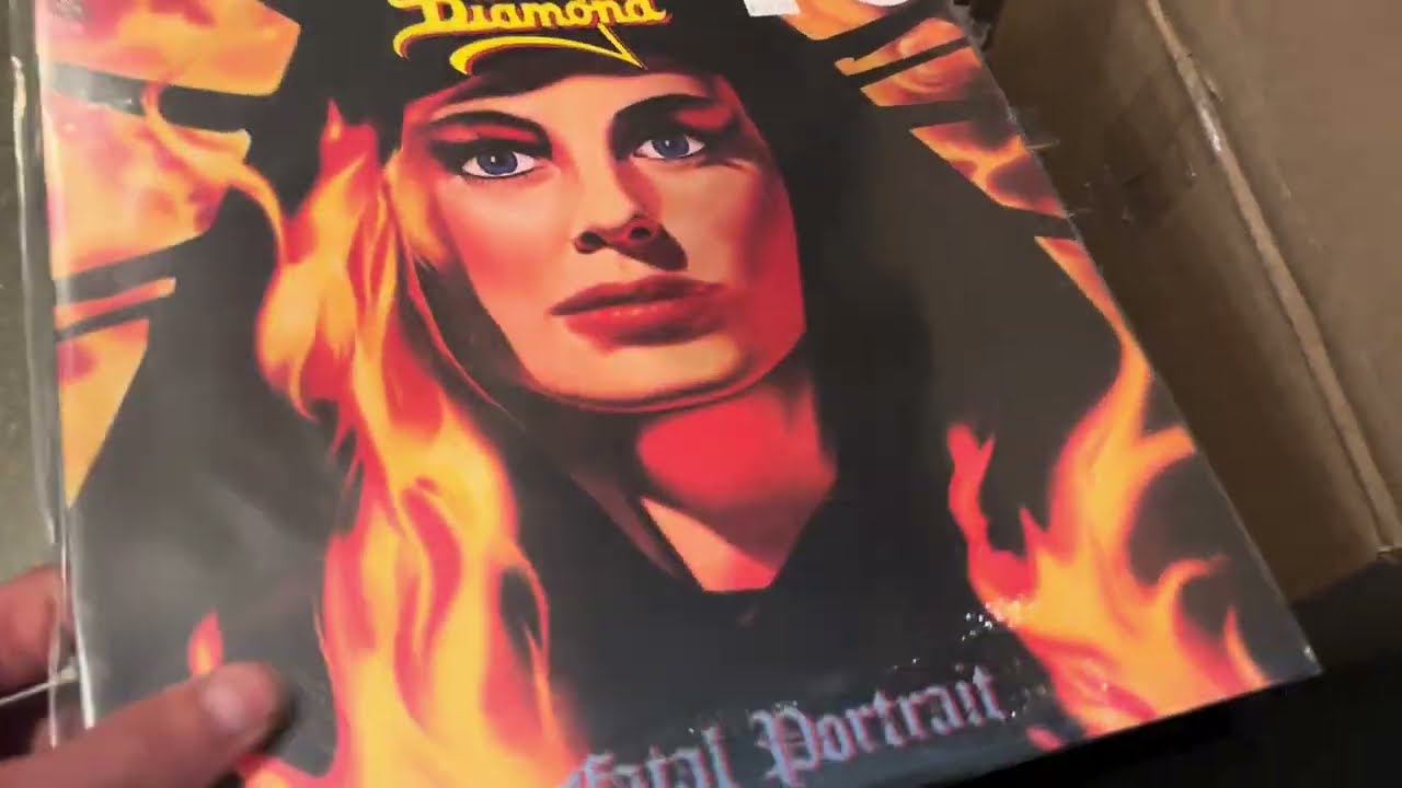 【コレクション放出】Heavy l LP レア メタル 希少 80s Crazy Collection of Over 700 Heavy Metal Vinyl I Bought From