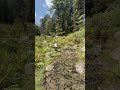 #pahadi #pahadilifestyle #life #video #gaon #village #viralvideo #himachal #shorts #reels