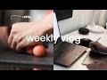 calm productive(ish) study vlog | final exams, yr 11 ending, SAT, cooking, cycling,