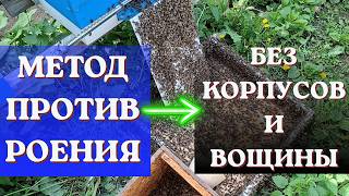 Метод против роения БЕЗ корпусов и вощины! Семья продолжит работу.