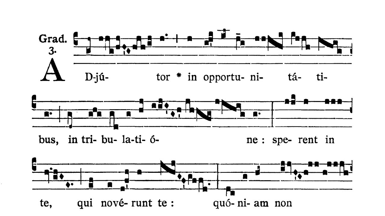 Dominica in Septuagesima - Graduale (Adiutor in opportunitatibus)