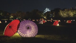 Okayama Korakuen's 
