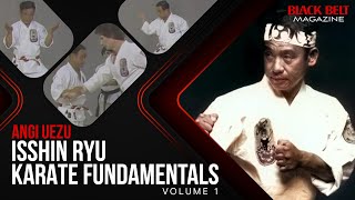 Isshin Ryu (Vol 1) Karate Fundamentals,  Angi Uezu  | Black Belt Magazine