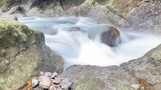 Forest River Nature Sounds,Relaxing Water Sounds for Sleeping and Meditation