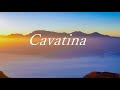 Cavatina（DTMcover）