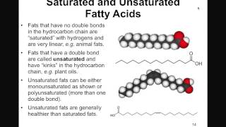 Structure and Function of Lipids