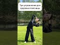 Боль в пояснице