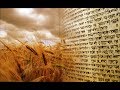 The Torah of Kindness and Truth - A Shavuot shiur by Rabbi Sacks
