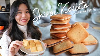 Shiroi Koibito - Japanese 'White Lover' Langue de Chat & White Chocolate Biscuit