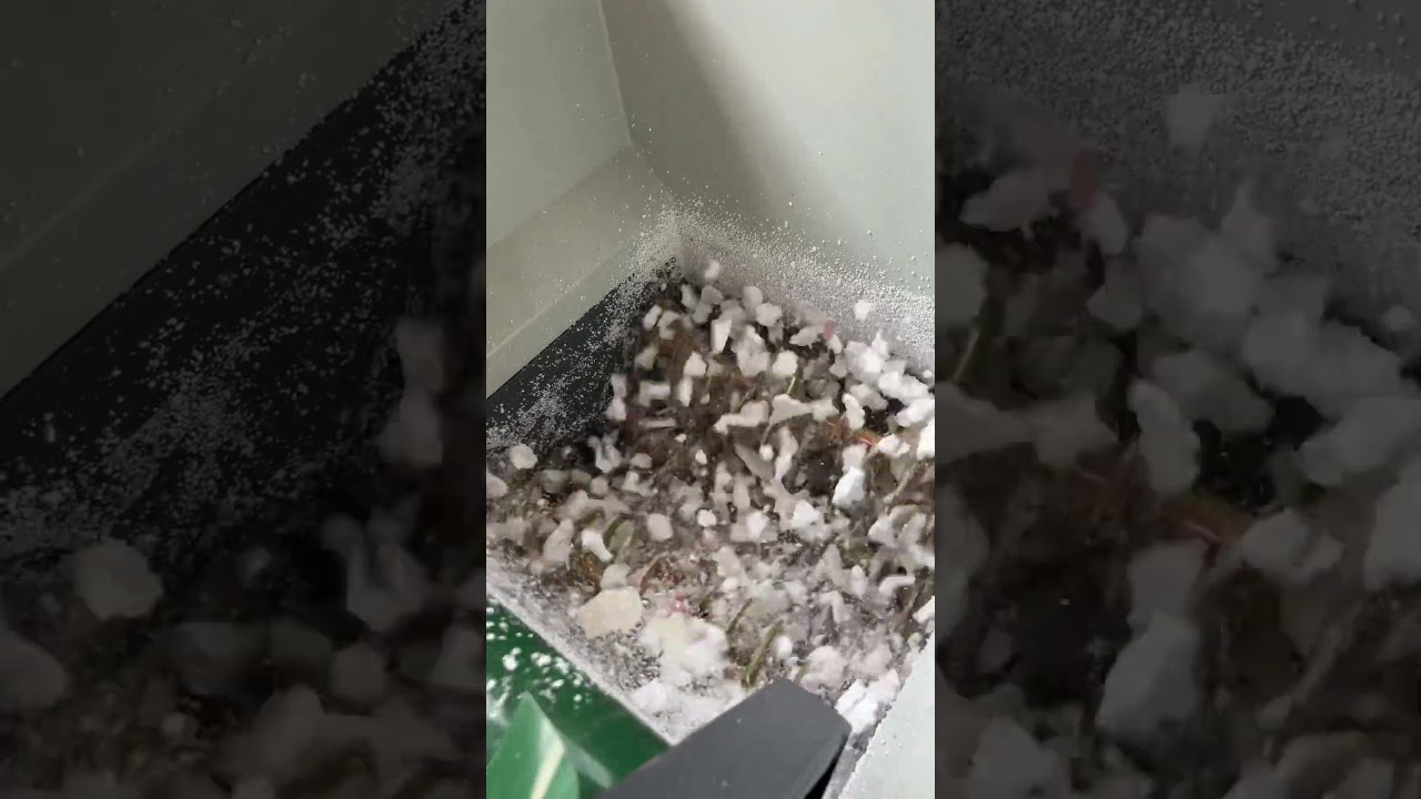 EPS polystyrene foam compactor with belt conveyor #polystyrene #eps #epsfoam #foam