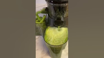 Homemade celery juice: The ultimate elixir for vitality