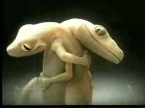 cute-lizards-in-love---funny-asian-commercial-for-roof-tiles