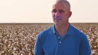 Supima Cotton - The Story of American-Grown Luxury