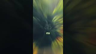 Bangga Minuman Surga Al Quran Ada Di Indonesia sholawat kisahrasulullah