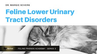 Feline Lower Urinary Tract Disorders