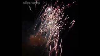 Pyroforum 2026 Teil 7 #fireworks #eventpyrotechnik #hanabi #pyro #pyrotechnica #feuerwerk