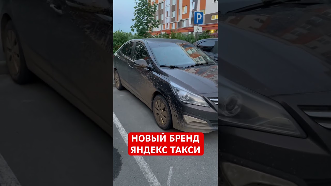 ИДЕАЛЬНЫЙ БРЕНД ДЛЯ ТАРИФА ЭКОНОМ / ШИШКА МИШКИ 