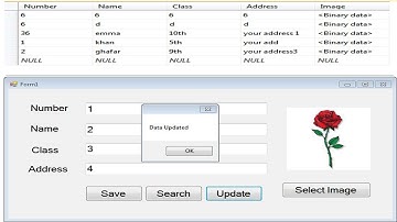 Update Query In Vb.net With Sql Server