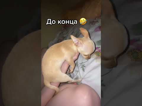 Половое созревание❤️🤣