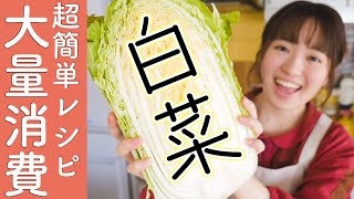 【無限に食べれる白菜レシピ】簡単に大量消費！サラダ2品紹介します！【料理】