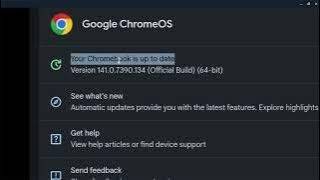 How to install Minecraft JAVA Edition on CHROMEBOOK FIXED!!!!!!