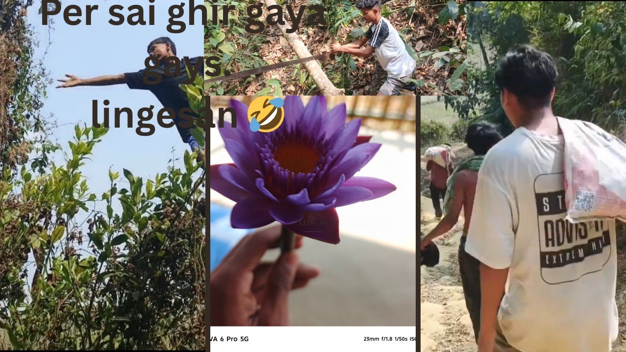 Aj mera dost ka yaha aya function mein help karne k liye // lakri liya //