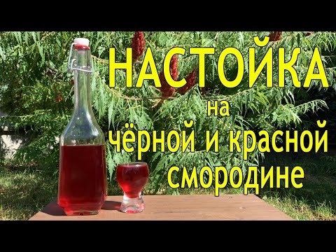 НАСТОЙКА на чёрной и красной смородине. Настойка на водке. Домашняя настойка, рецепт.