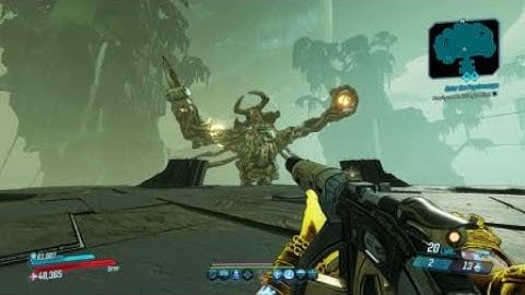 Borderlands 3 Amara Can