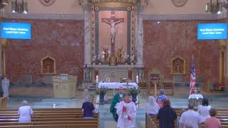 14th Sunday in Ordinary Time - 2026