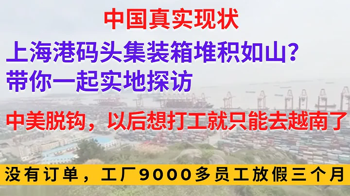 上海港碼頭集裝箱堆積如山？帶你一起實地探訪，中美脫鉤，以後想打工就只能去越南了？沒有訂單， 工廠9000多員工被放假三個月 - 天天要聞