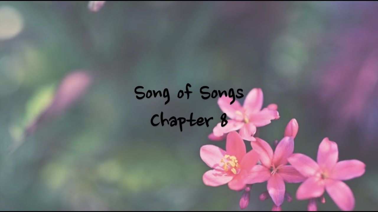 Song of Songs 8 - NIV | AUDIO BIBLE & TEXT - YouTube