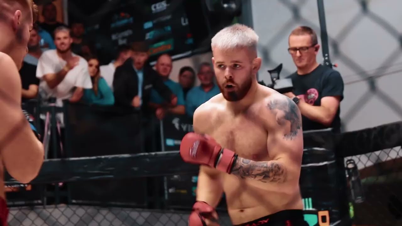 Virtus 2