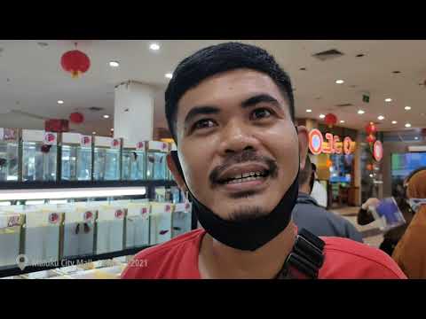 PERDANA CUPANG AMBON